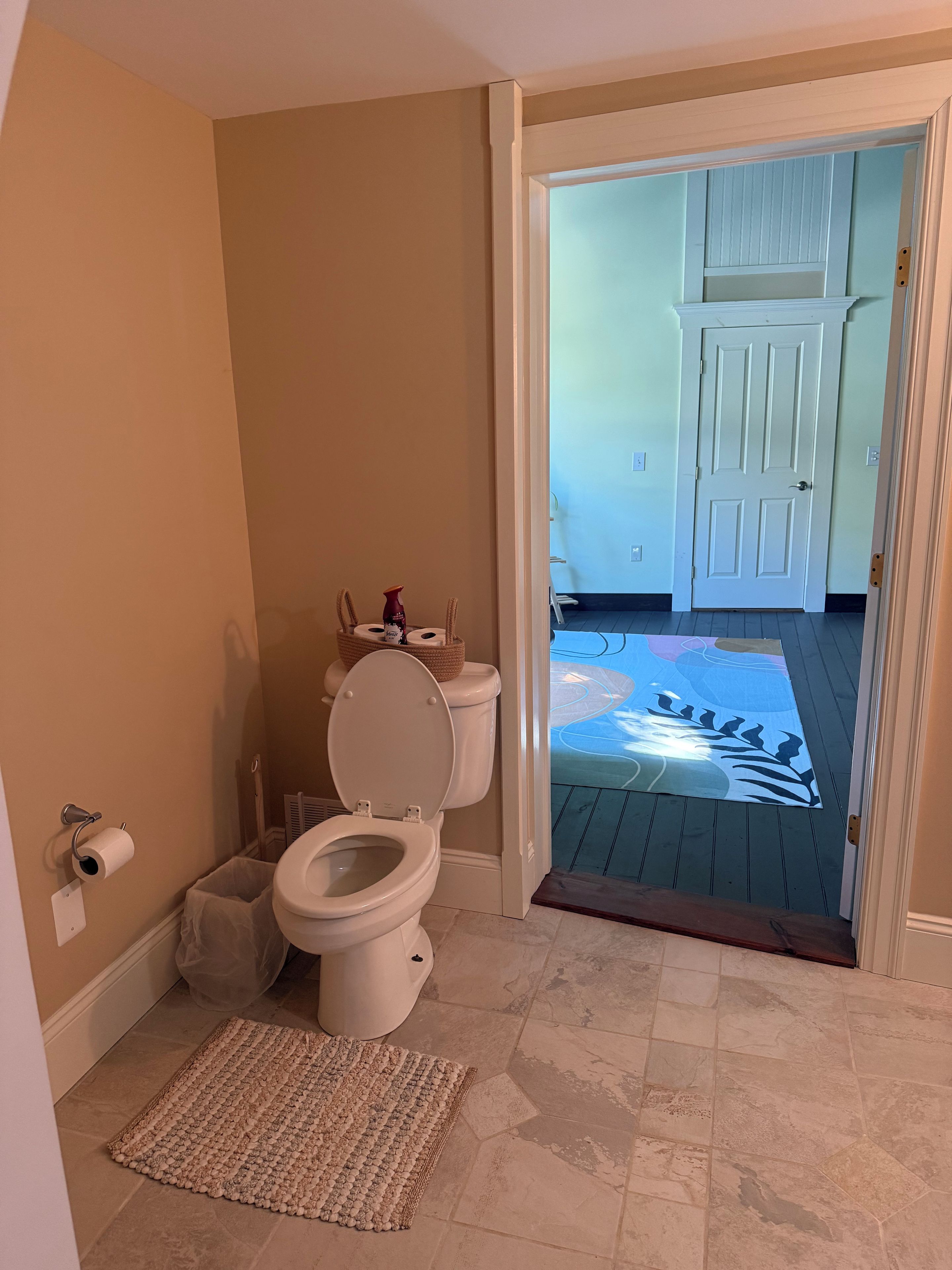 A bathroom with a toilet, a trash bin, and a rug.