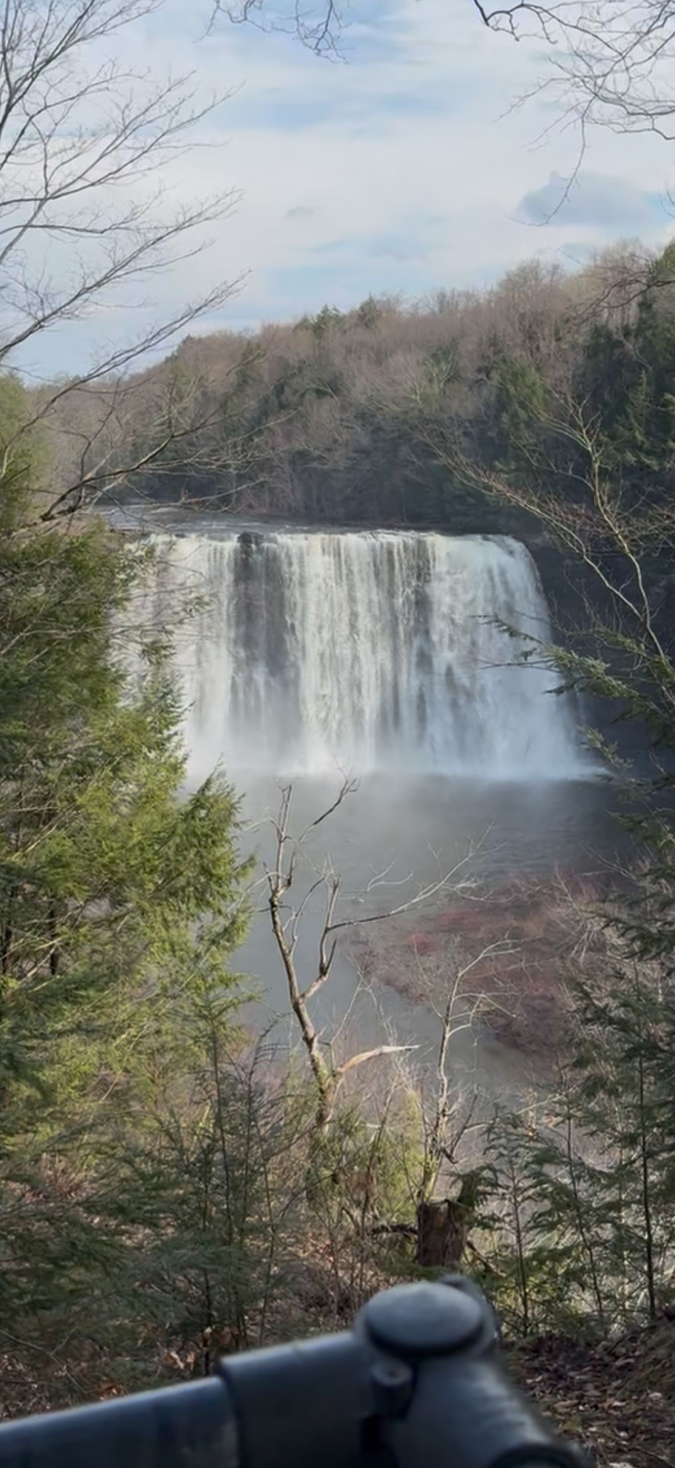 Une cascade entourée d’arbres.