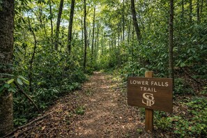 A forested trail with a sign reading 'Lower Falls Trail.'