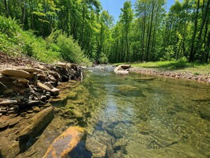 A clear stream with rocks and trees in the background.
