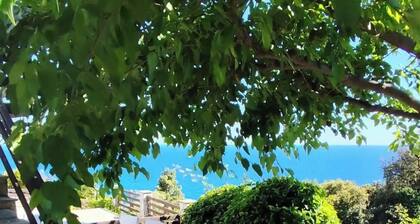 GiAnna's Pelion Blue Escape by ΜΡS