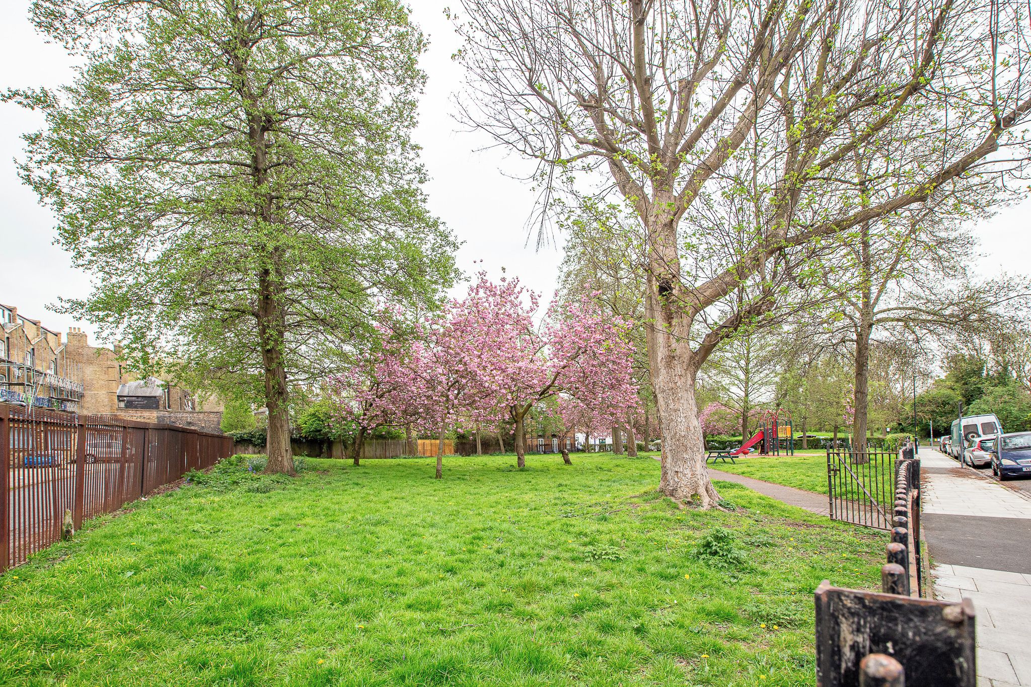 A grassy park area with trees and a playground.
