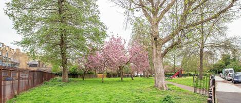 A grassy park area with trees and a playground.