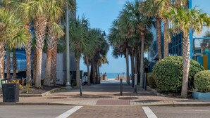 A paved walkway lined with palm trees, leading to a beach. - Yachtsman S302 Studio (Myrtle Beach)