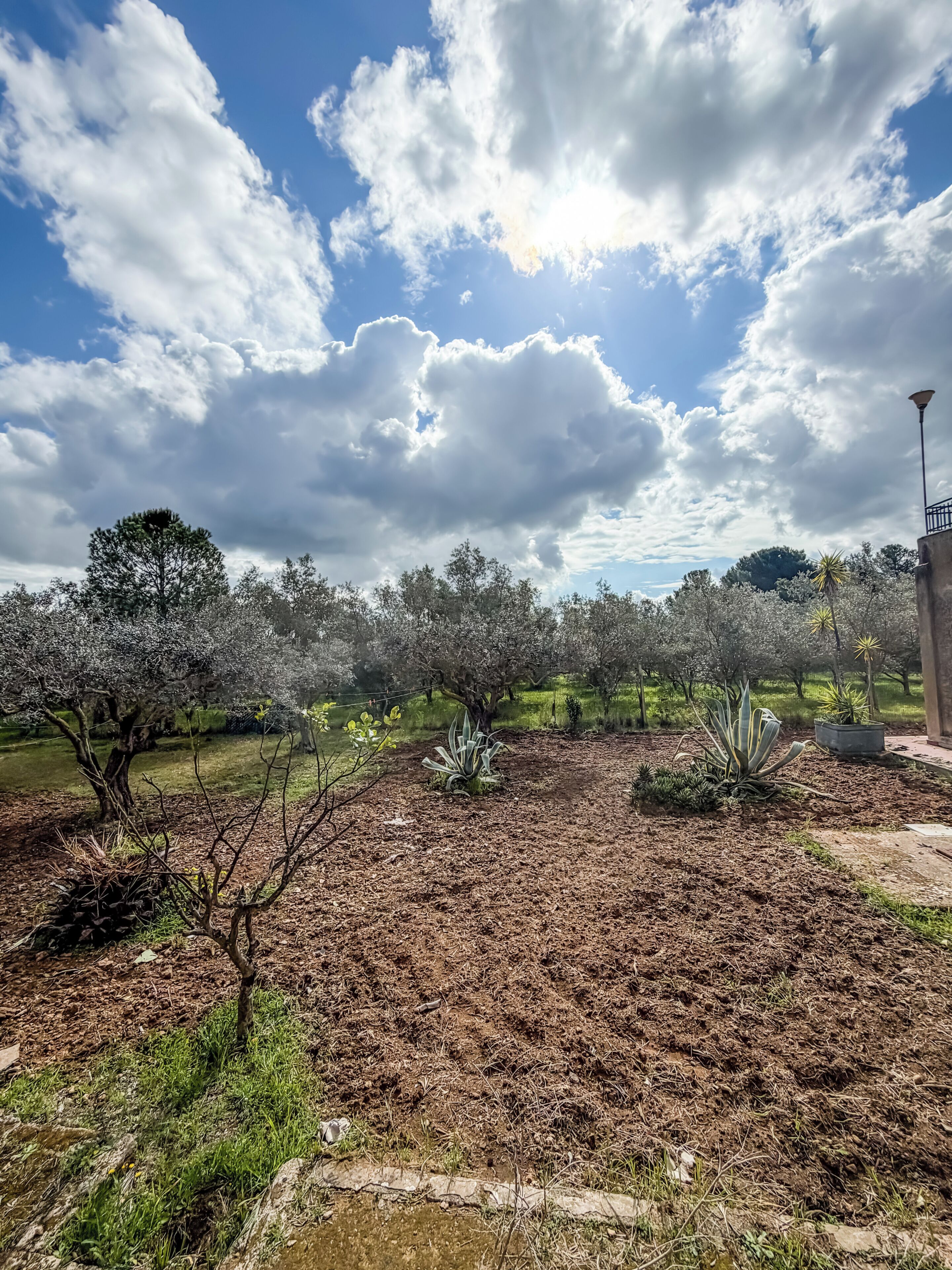 المنطقة المحيطة بالمنشأة