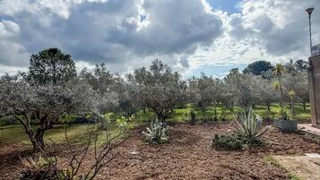 المنطقة المحيطة بالمنشأة