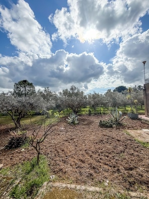 Terrain de lâhĂ©bergement