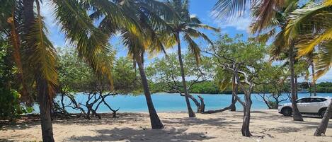 Strand