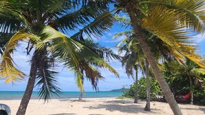 Una playa con palmeras y un cielo azul despejado.