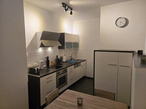 Private kitchen - TechisHolidayApartment (Magdeburg)