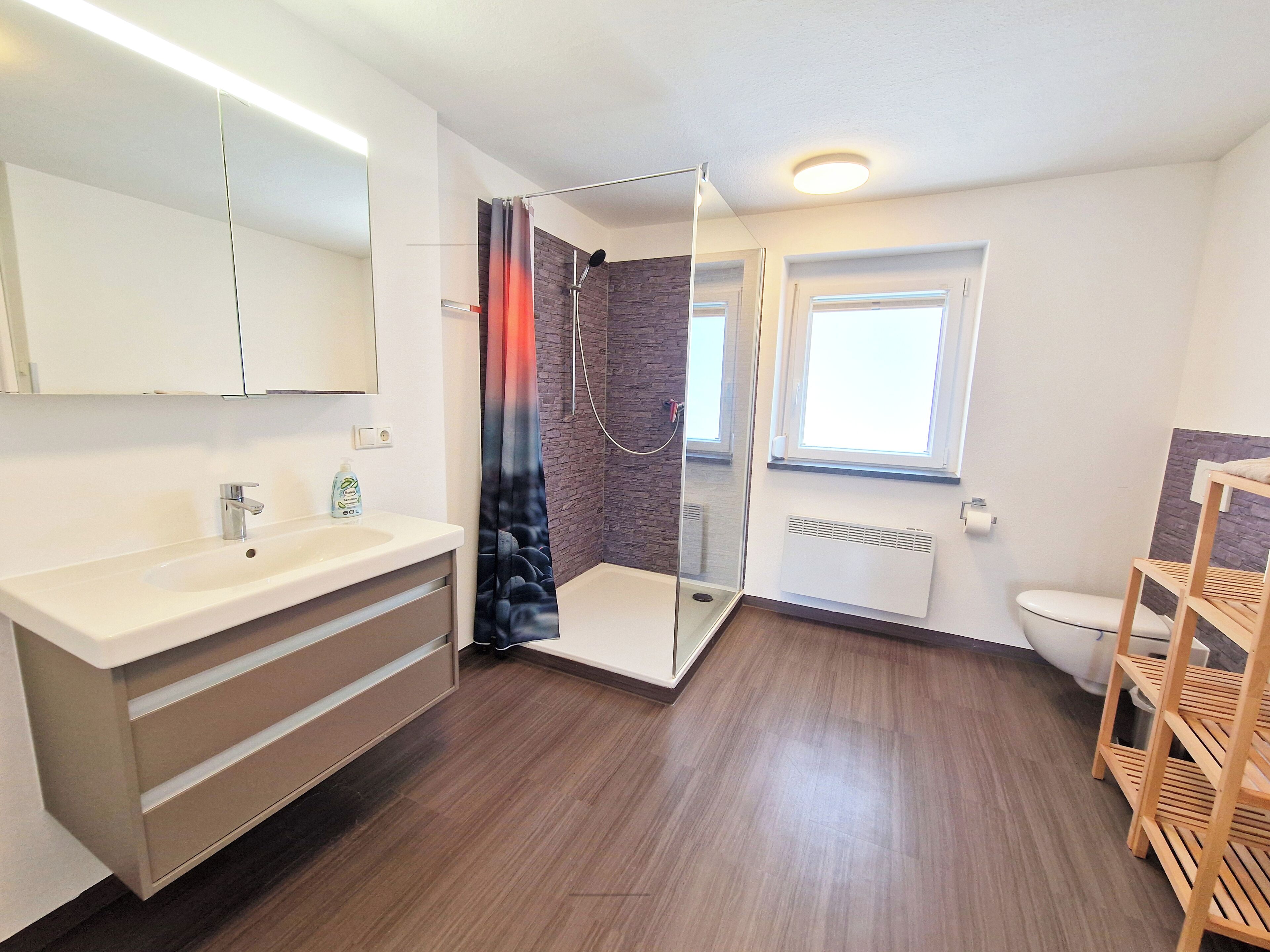 Shower, towels, soap, toilet paper
