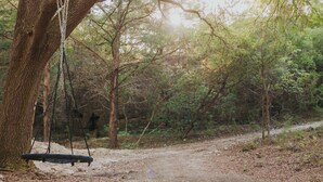 A dirt path leading through a wooded area with a swing hanging from a tree.