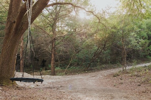 A dirt path leading through a wooded area with a swing hanging from a tree. - Cozy 1-bedroom cabin in peaceful Newberry with AC (Newberry)