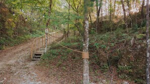 A forested area with a wooden staircase leading up a slope, surrounded by trees and undergrowth.