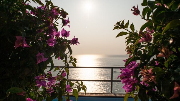 A pool with a view of the sea, surrounded by pink flowers. - Villa Margi · Pool · Sea View (Vico Equense)