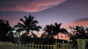 Un atardecer con palmeras y un edificio al fondo.