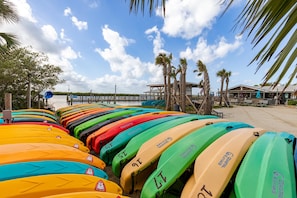A row of colorful kayaks lined up on a sandy beach with palm trees and a clear sky in the background. - Mariner's Cove 405 (New Smyrna Beach)