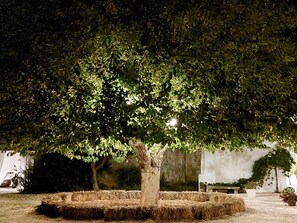 Property grounds - Apartment 'Masseria San Martino - 5' with Shared Pool, Wi-Fi and Air Conditioning (Polignano a Mare)