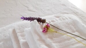 En hvid, struktureret overflade med en lilla blomst og et gult stilks.