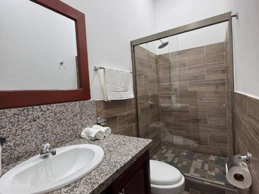 A bathroom with a granite countertop sink, a white toilet, a glass shower enclosure, and a mirror above the sink.