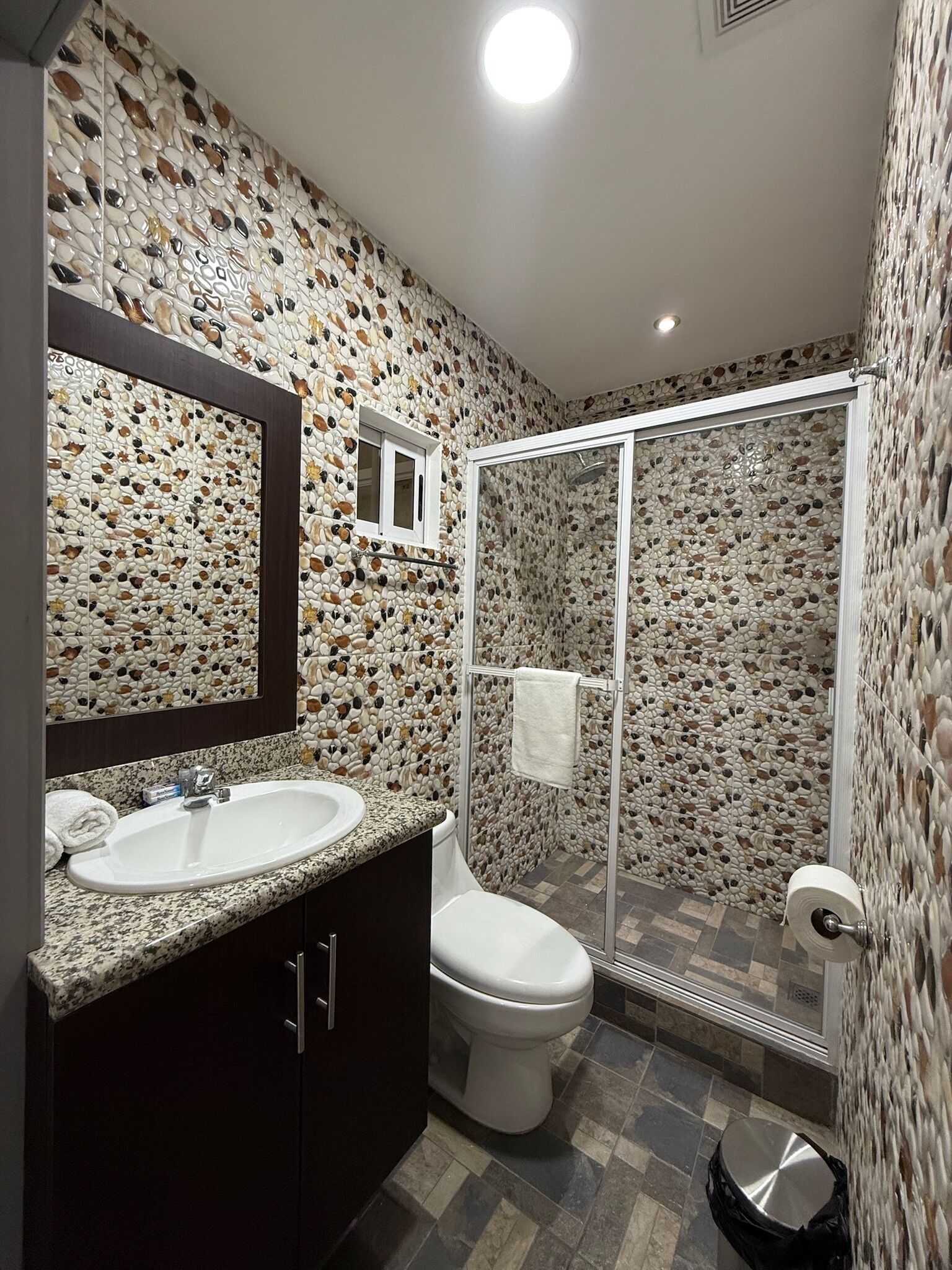 Une salle de bain avec un mur décoré de motifs de galets, une douche en verre, un lavabo avec un plan de travail en granit et des toilettes.