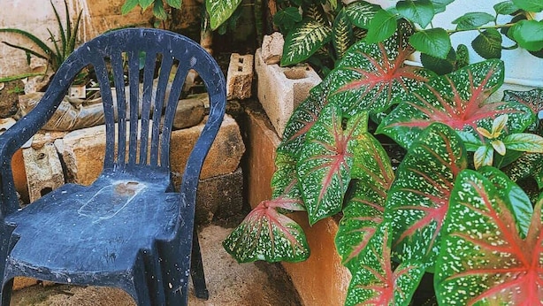 Unclassified image, 1 of 17, button - Abuelita’s Casita by Calle Loiza • Artsy+Walkable (San Juan)