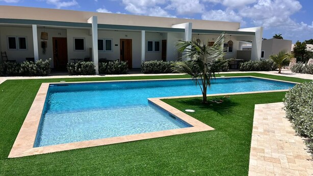 Un hotel moderno con una piscina rettangolare circondata da erba sintetica, una palma e un vialetto lastricato.