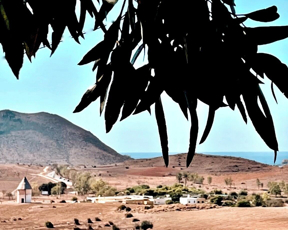 منوع