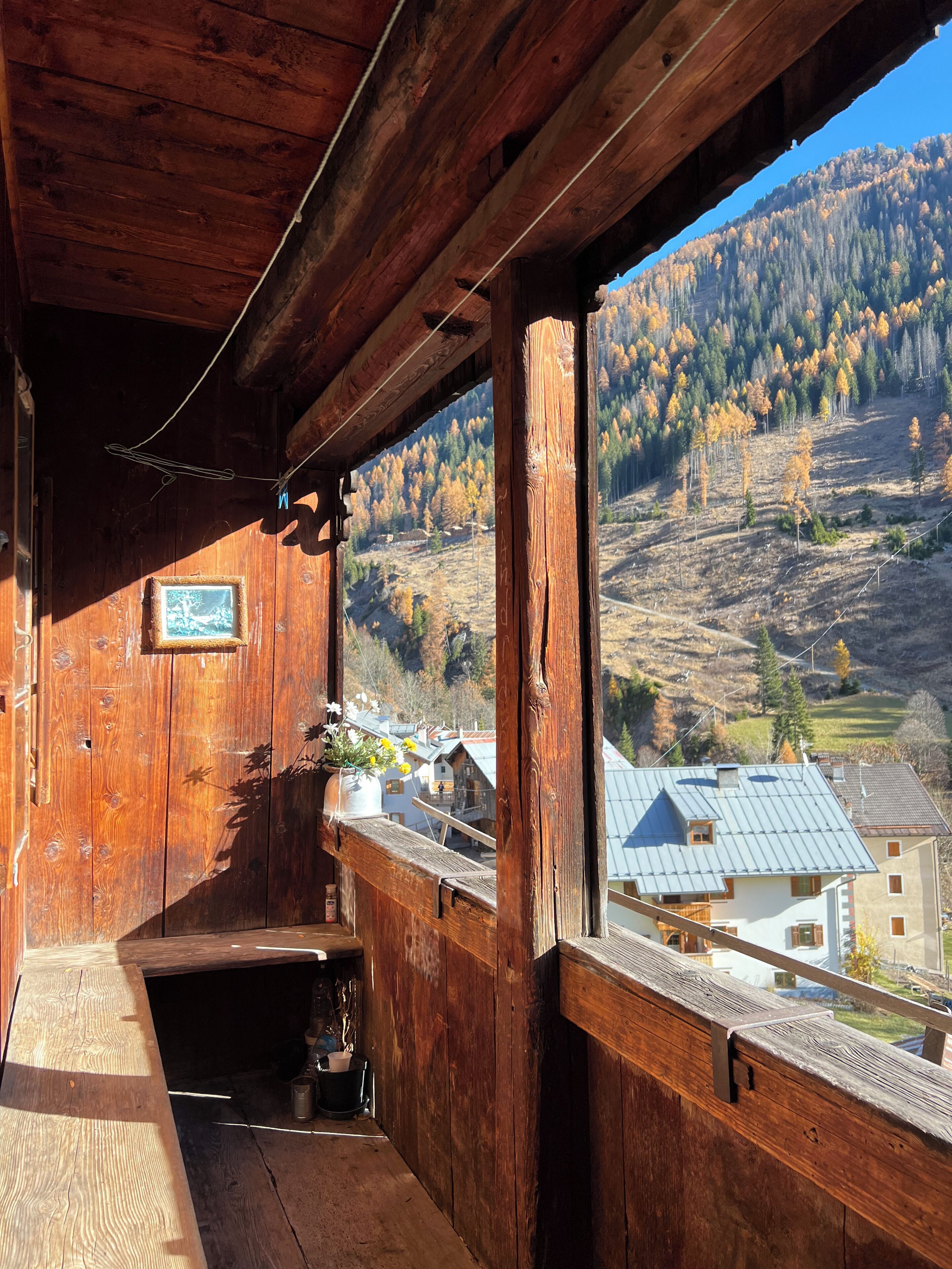 Parco della struttura