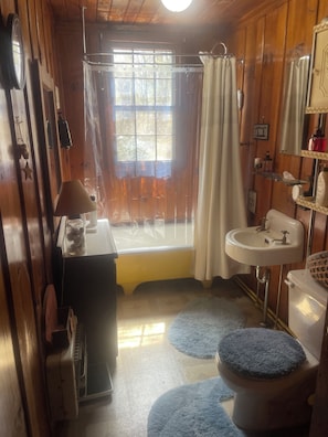 Bathroom - Superb 5-bedroom house walking distance to charming downtown Saluda (Saluda)