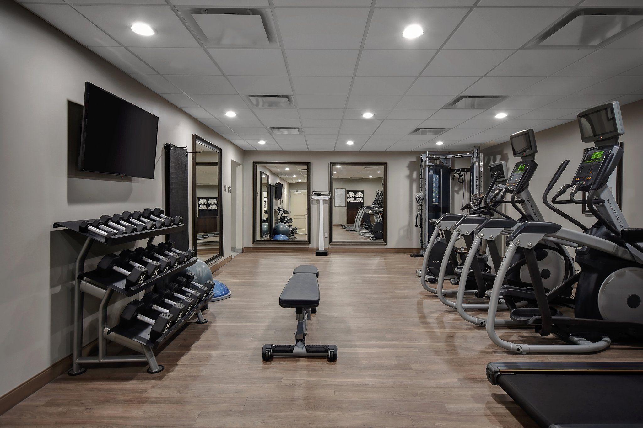 A gym with treadmills, dumbbells, and a bench.