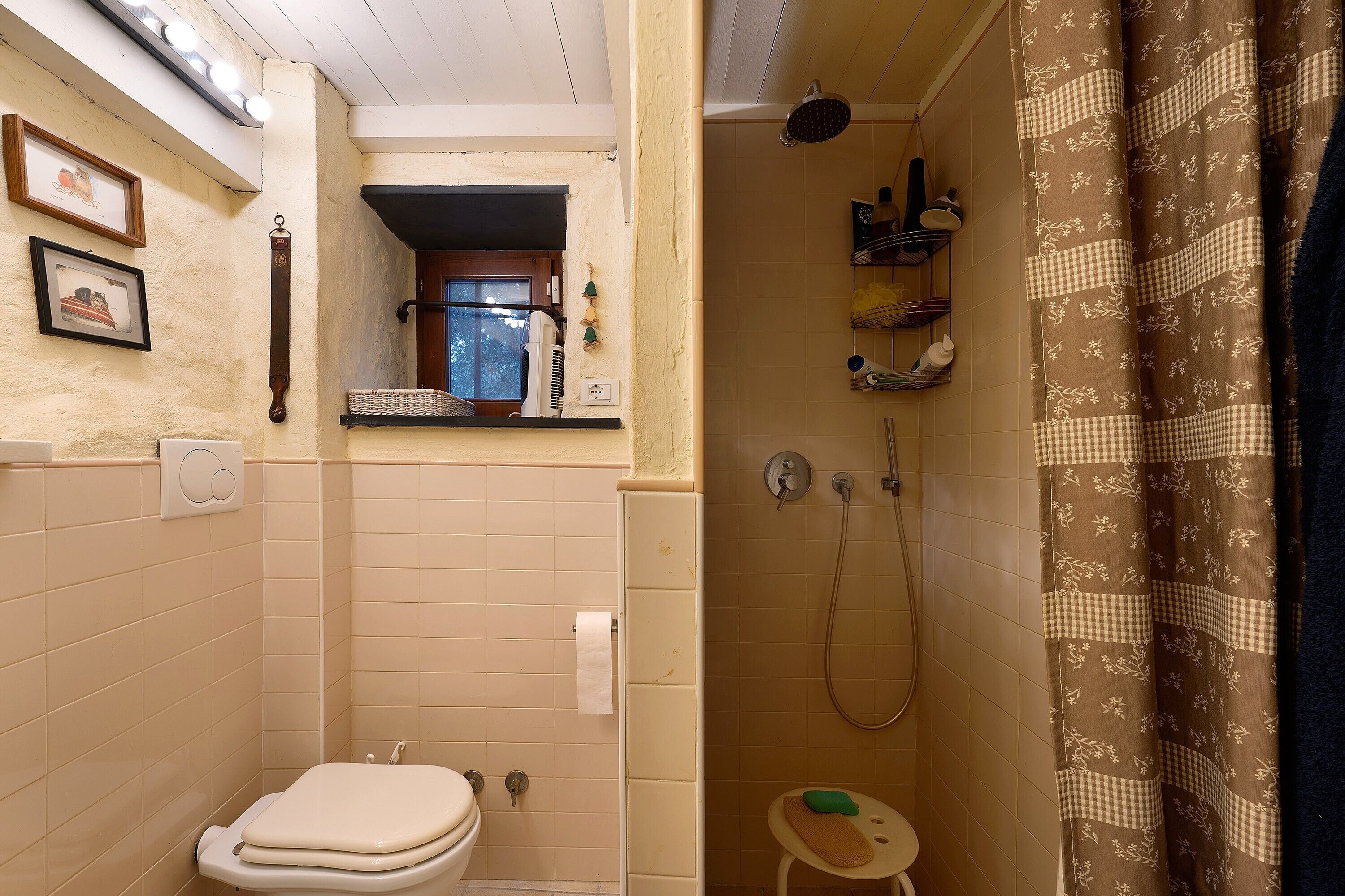 A bathroom with a toilet, shower, and a small stool with a green sponge.