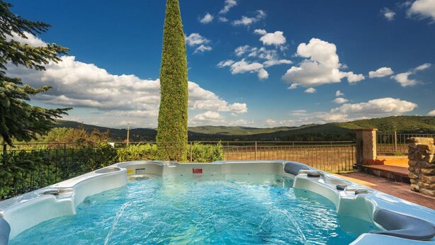 Ein Whirlpool mit Bergblick, umgeben von viel Grün und einem hohen Baum.