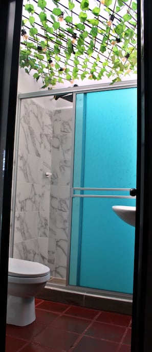 Ducha, toallas, jabón, papel higiénico