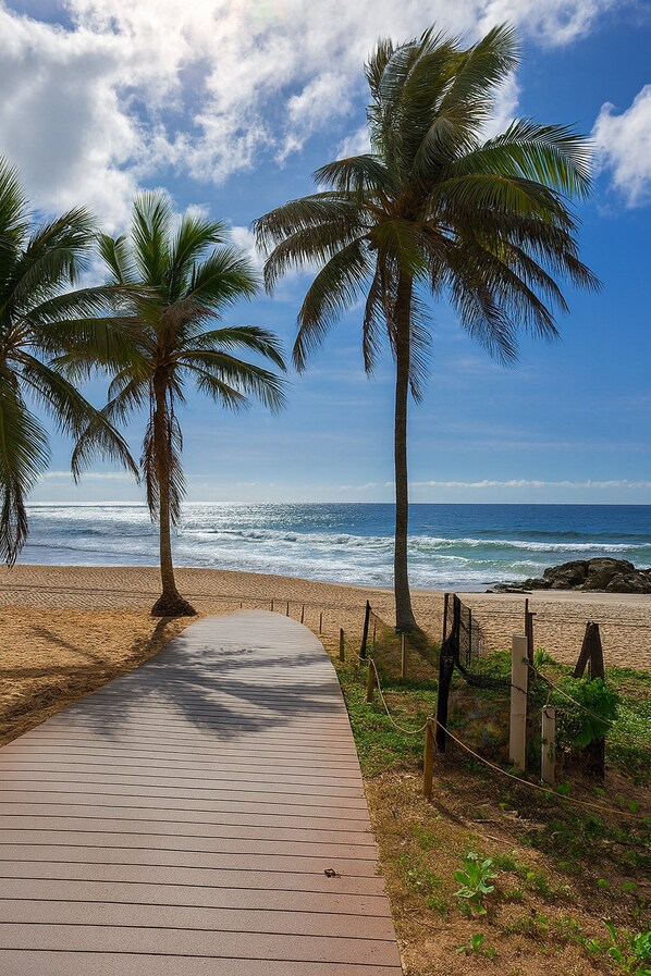 Beach - Stella Studio (Salvador)