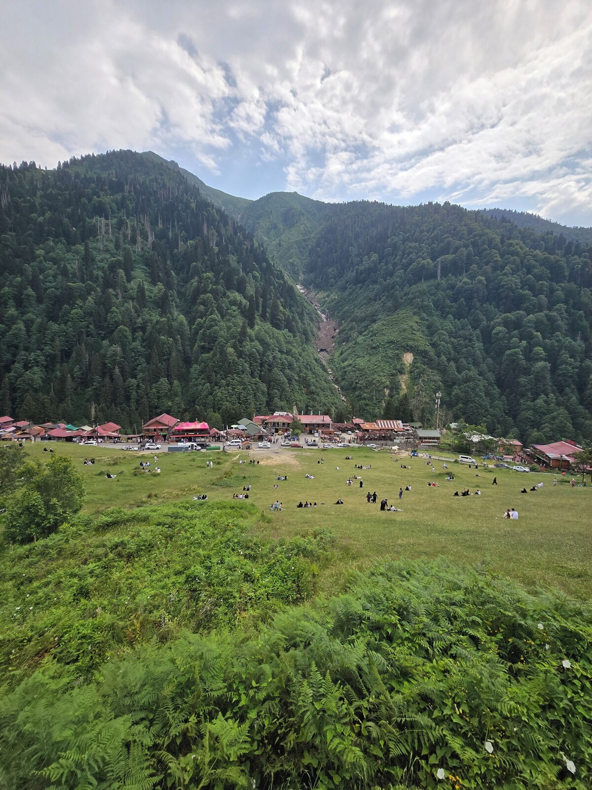 Image de profil de l’hôte