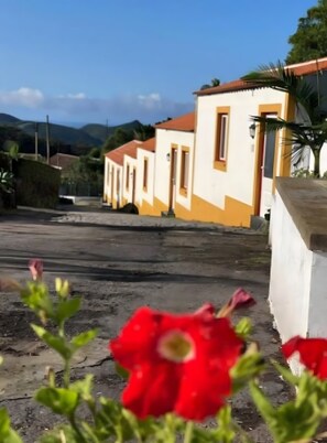 Property grounds - 'Quinta do Malhinha' Apartment with Mountain View, Shared Terrace and Wi-Fi (Posto Santo)