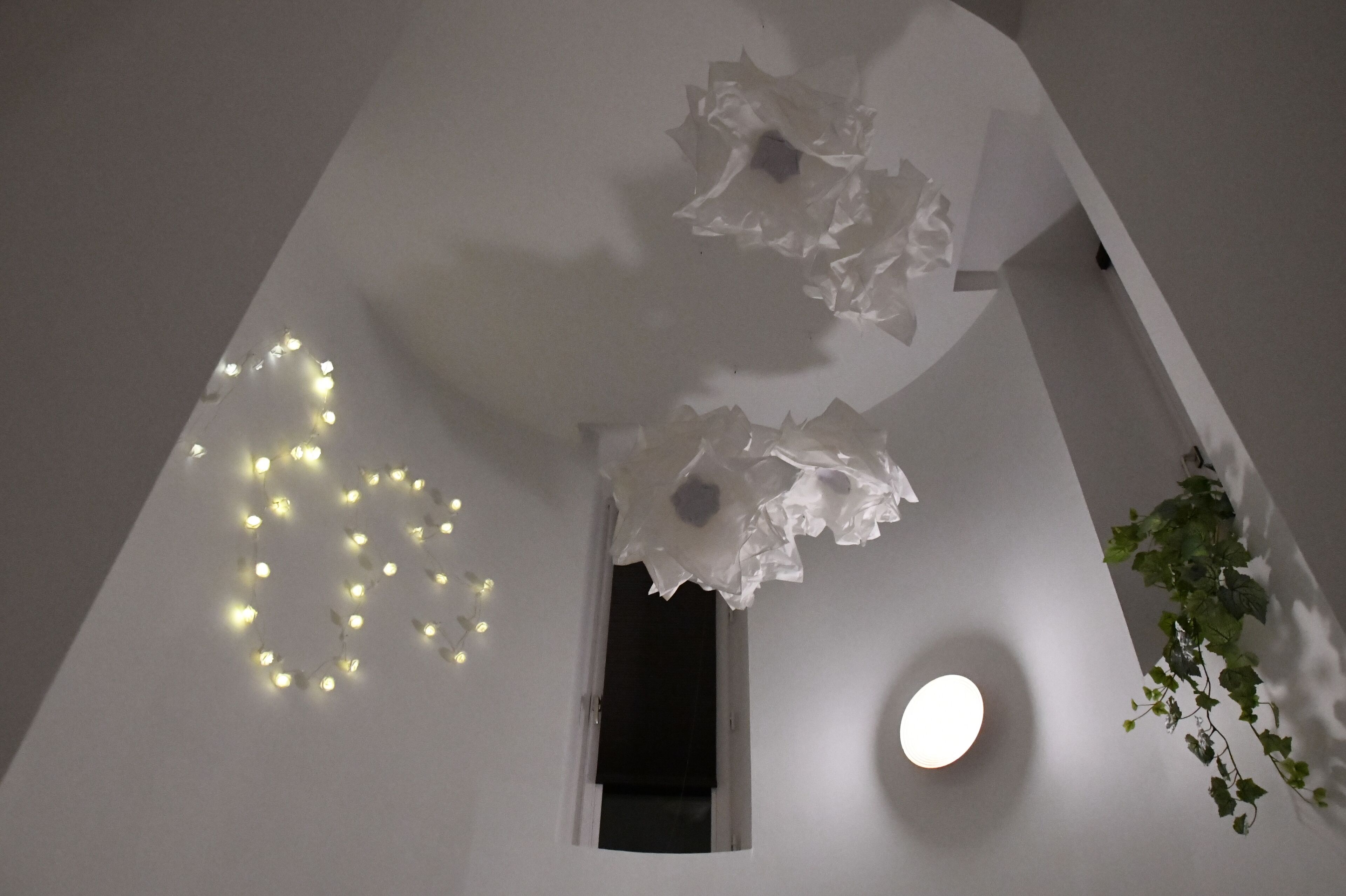 Een plafond met decoratieve verlichting, een raam en een hangplant.