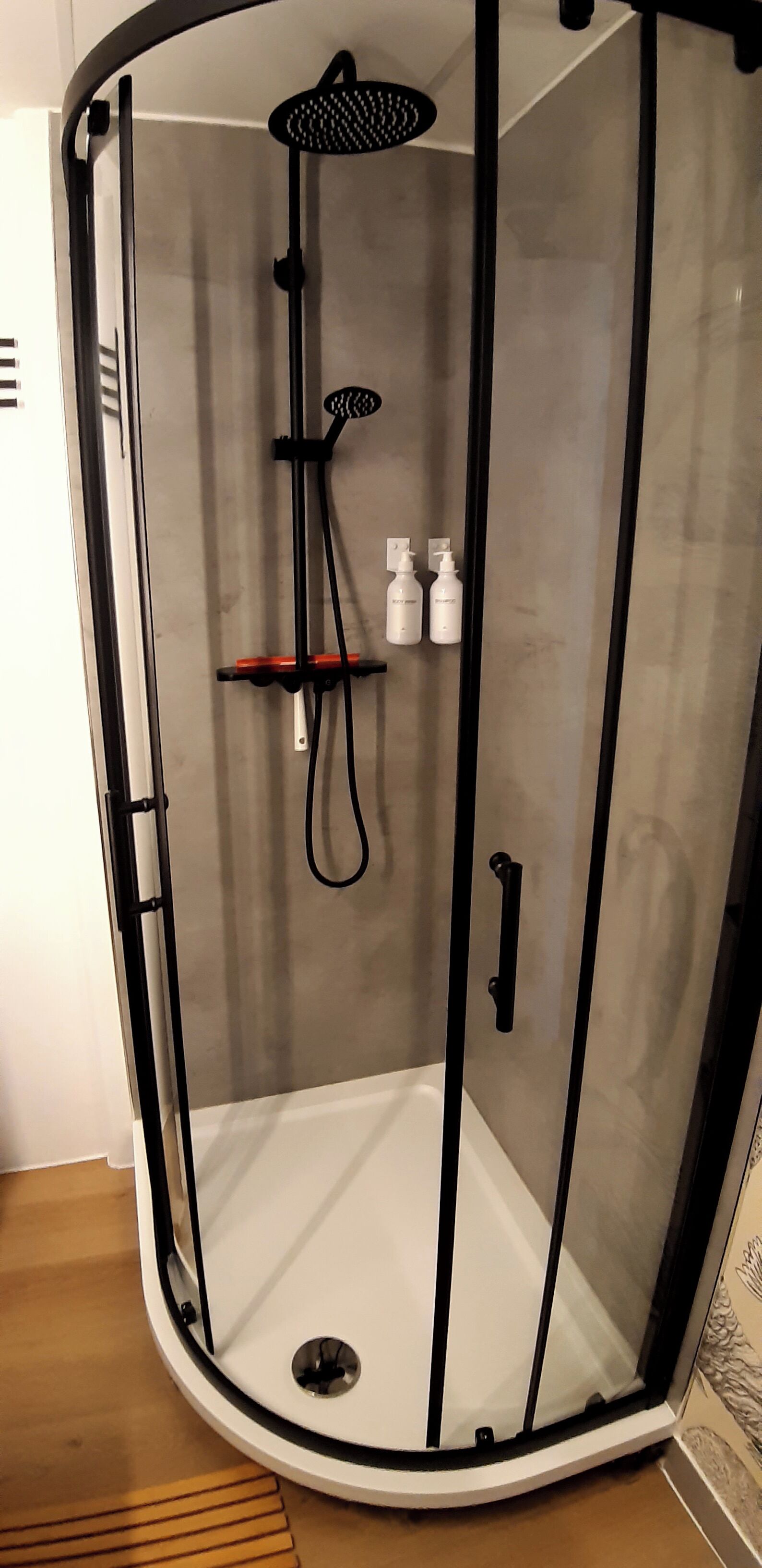 Un espace de douche doté d’une porte en verre, d’un pommeau de douche à main et d’une brosse à main.