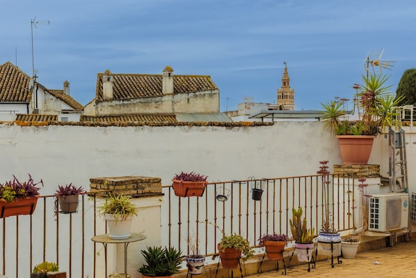 A rooftop terrace with potted plants, a white wall, and a building with a tower in the background.