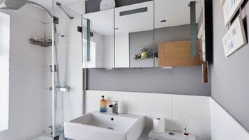 Shower, hair dryer, bidet, towels