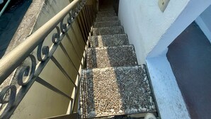 Una escalera con barandilla metálica que lleva a una puerta, una pared blanca y una estatua decorativa de un búho.