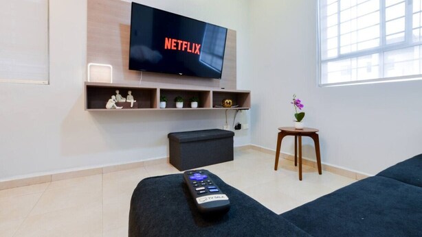 Ein Wohnzimmer mit einem Flachbildfernseher, der das Netflix-Logo anzeigt, einer Fernbedienung, einem dunklen Sofa, einem kleinen Tisch mit einer Topfpflanze und einem dekorativen Regal mit Figuren.