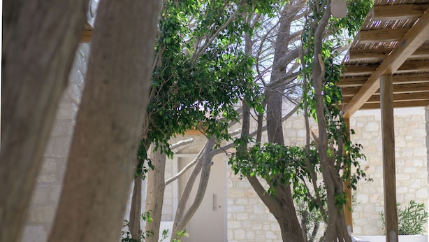Un chemin de pierre bordé d’arbres et une pergola en bois mènent à un bâtiment en pierre.