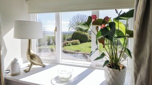 A window with a view of a green landscape, a lamp, and a potted plant. - Barn Howe (Kendal)
