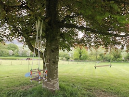 Un árbol con columpios y un campo cubierto de césped.