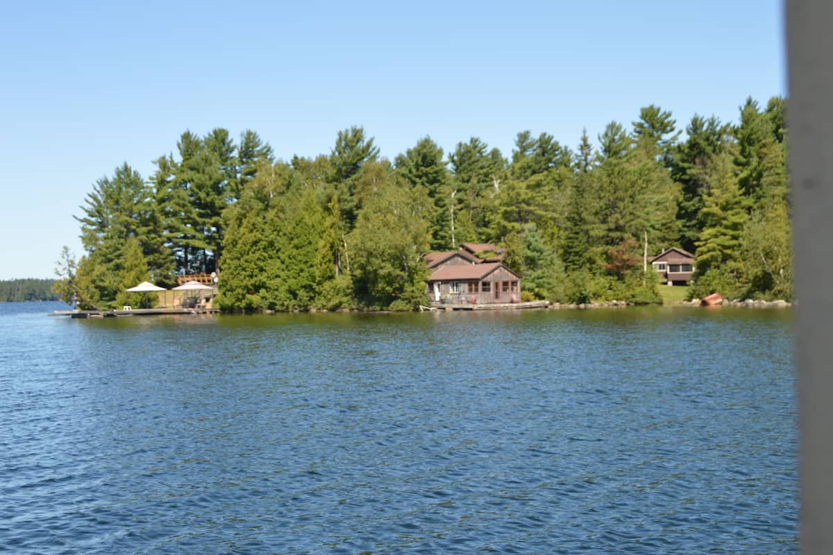 A lakeside property with a house surrounded by dense trees.