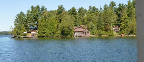 A lakeside property with a house surrounded by dense trees.