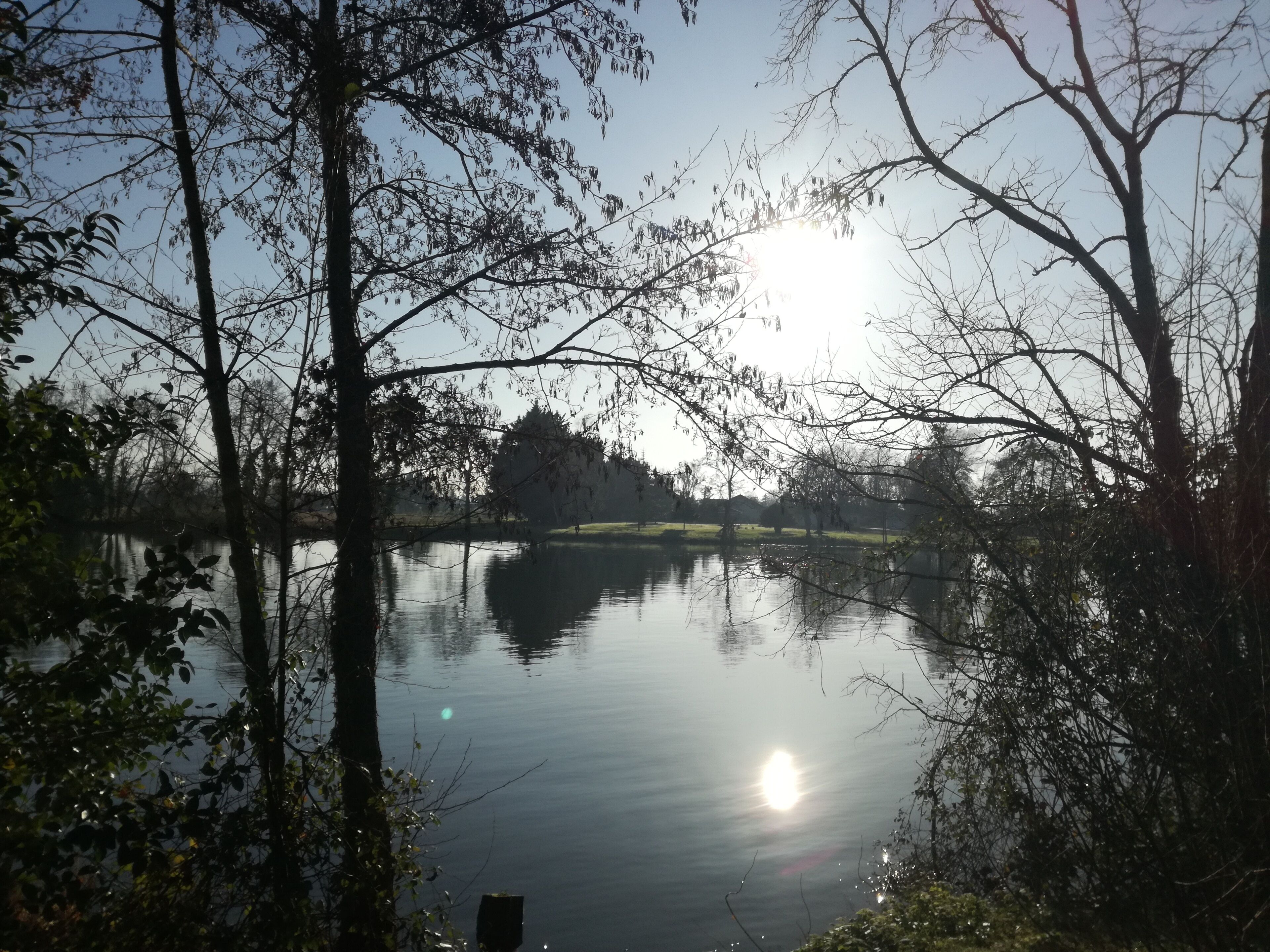 A tranquil lake surrounded by trees with sunlight reflecting on the water.