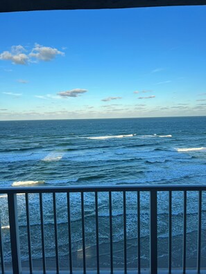 Property grounds - Enjoyable 3-bedroom condo with AC in charming Ponce Inlet beach (Ponce Inlet)